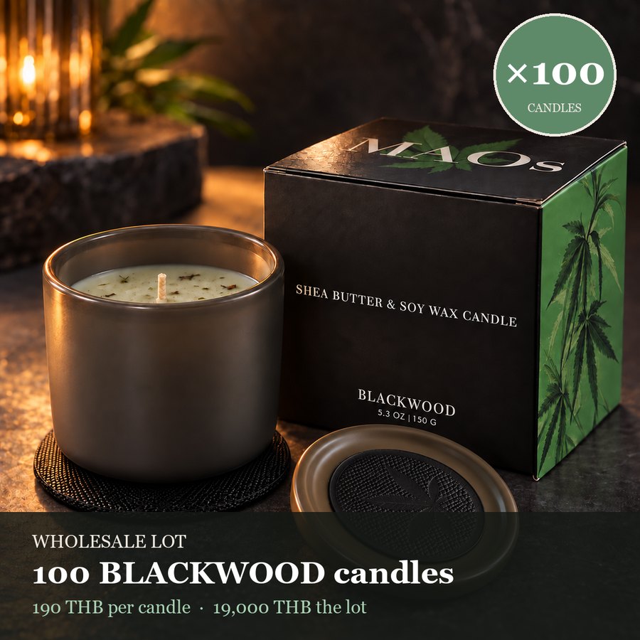 Wholesale Lot of 100 Artisan Spa Candles BLACKWOOD 150 g — 190 THB each
