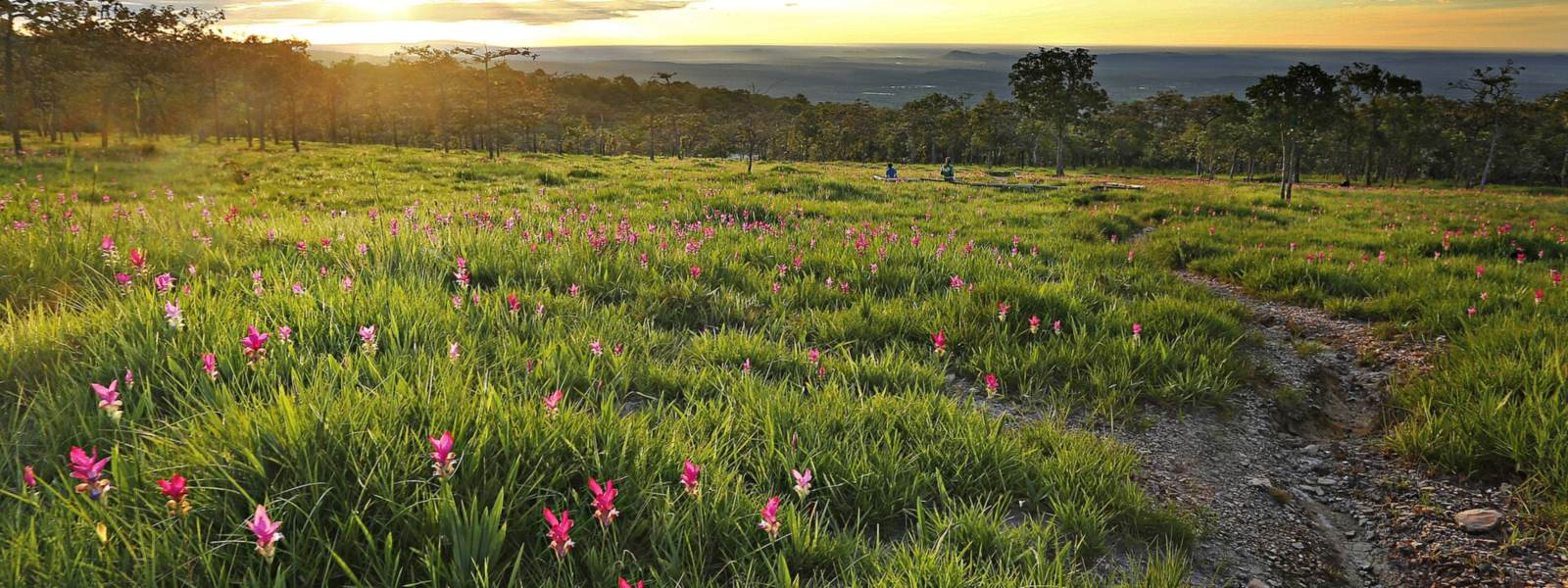 Chaiyaphum