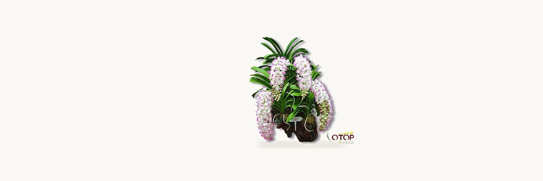 Women’s Artificial Flower Group