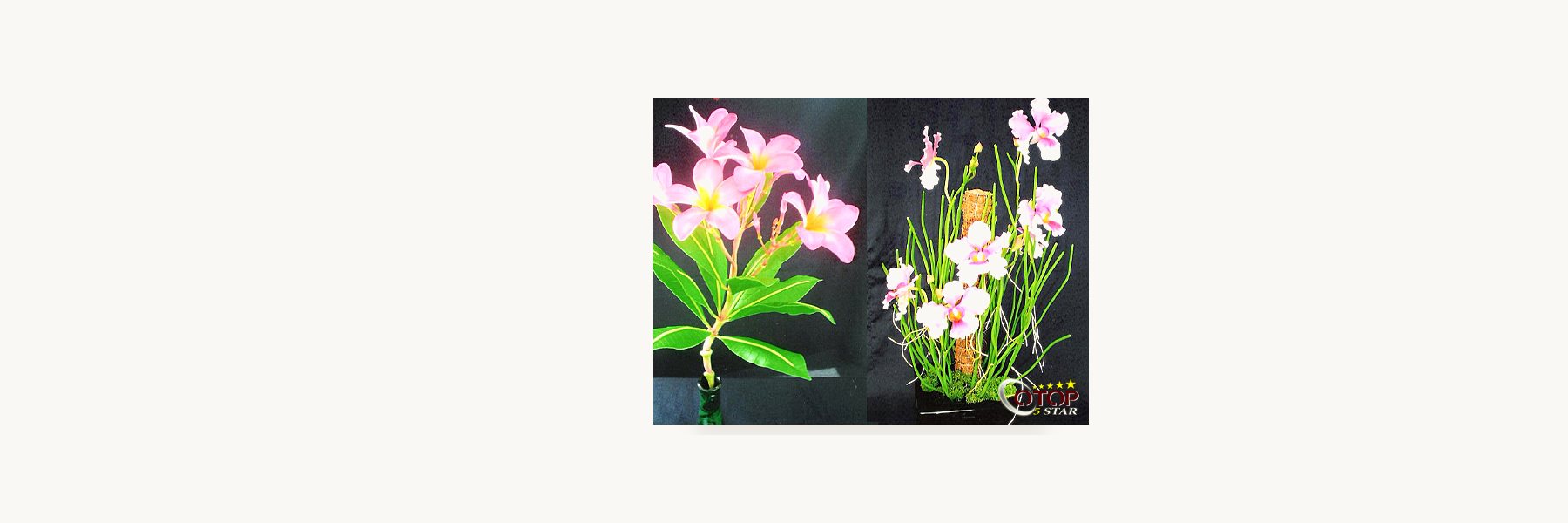 Ya Siam Handicraft Group