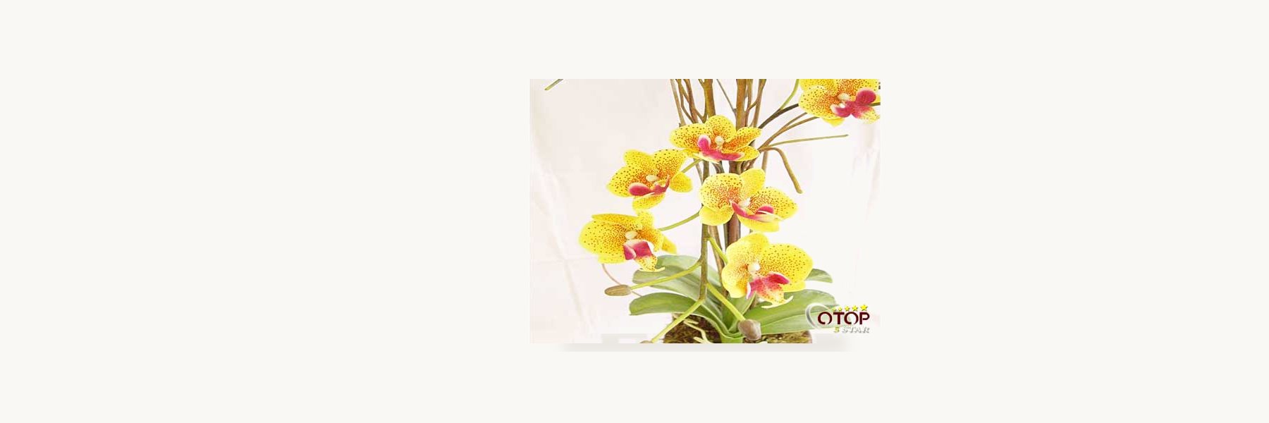 Glue-coated Cloth Artificial Flowers Maker, Nakhon Chai Si