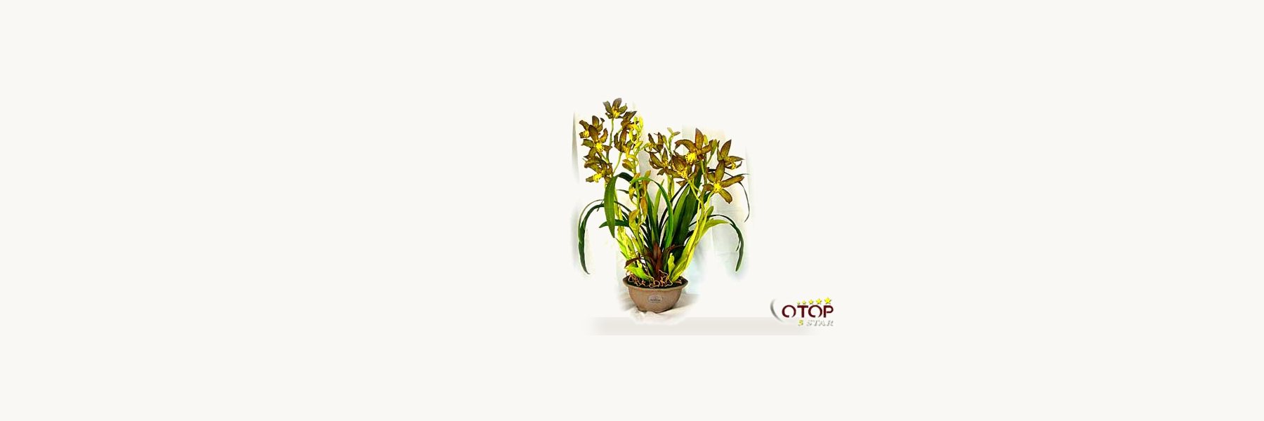 Orchid Hand Made Group