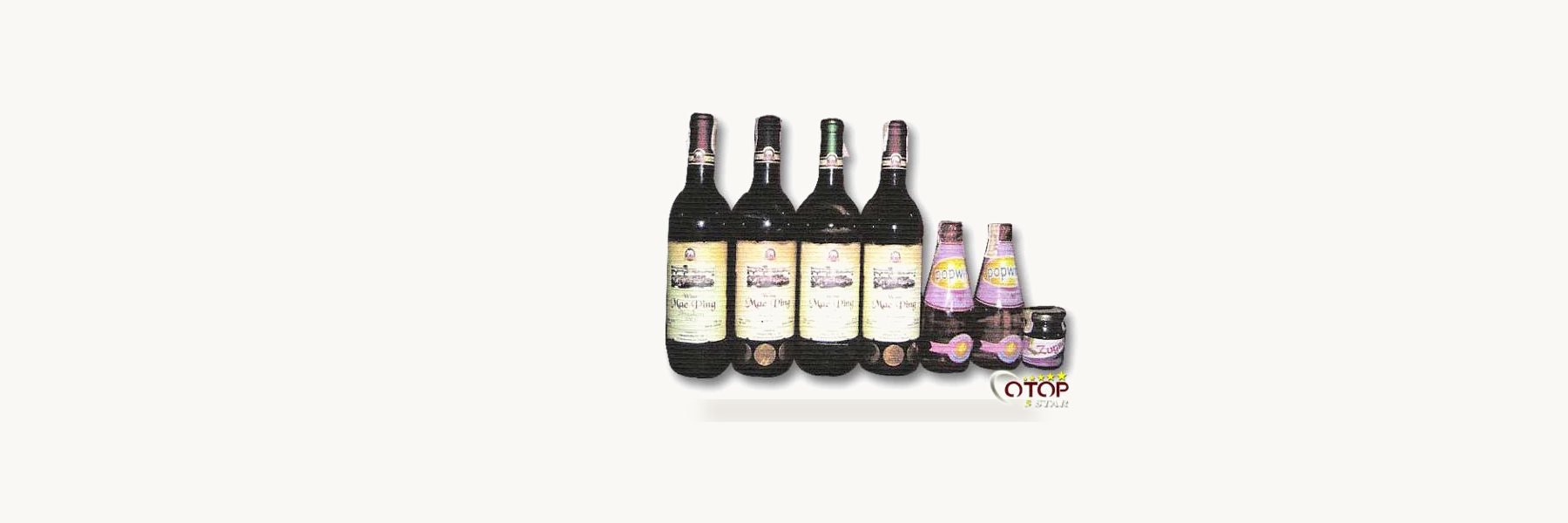 Chiang Mai Cooperative Co., Ltd