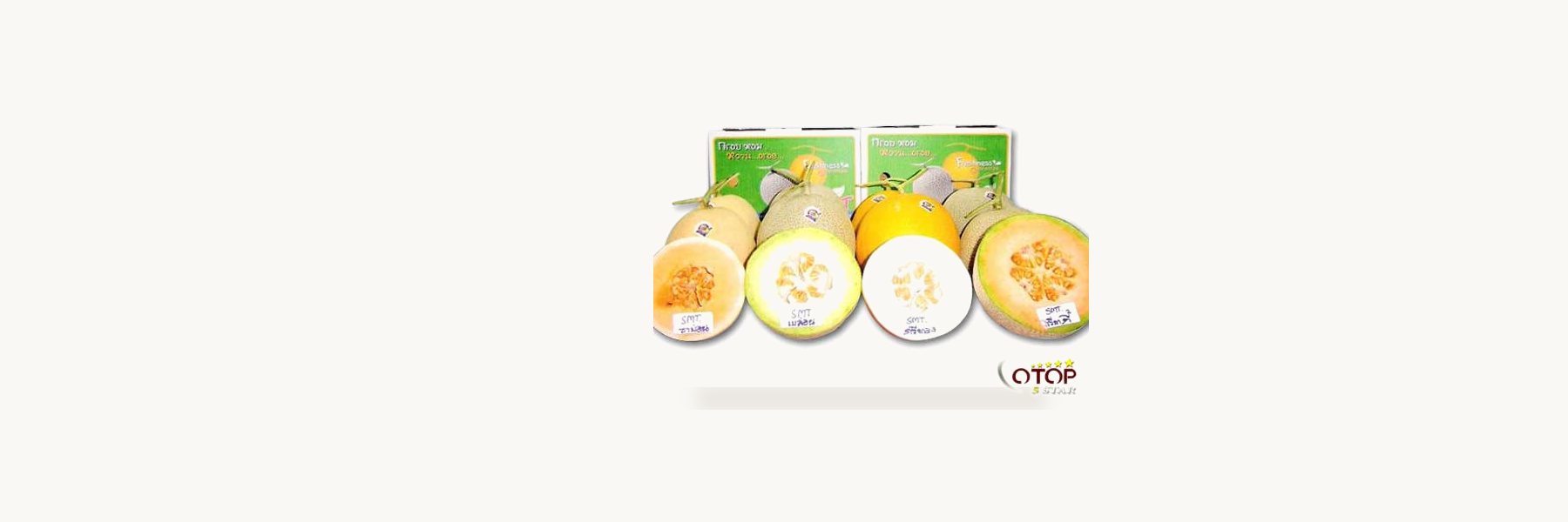 Cantaloup Group