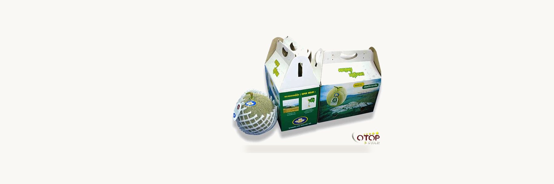 Puet Pak Anamai Co., Ltd