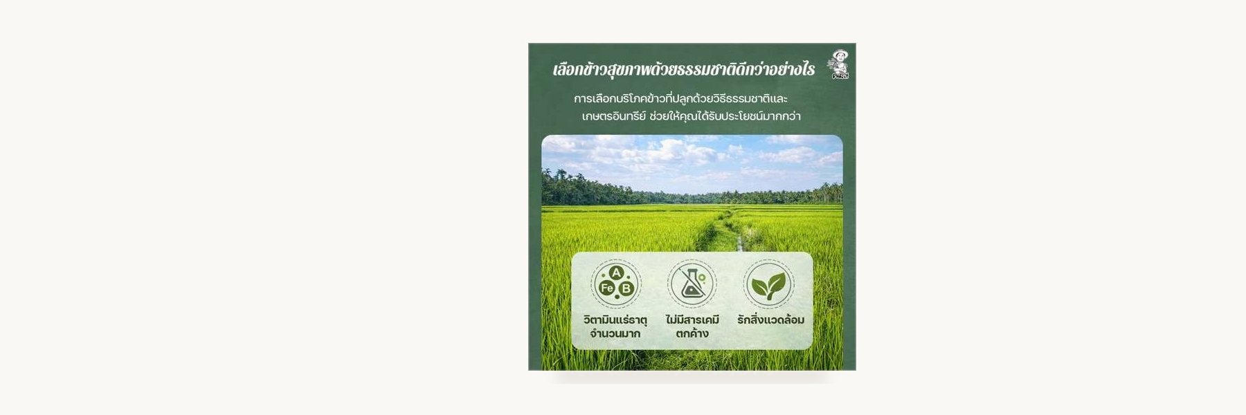 Ban Nok Organic Rice Farmers