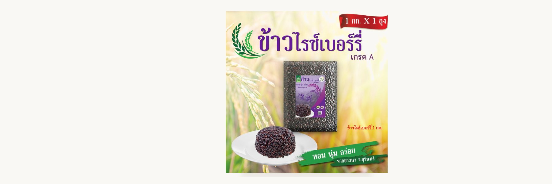 Surin Organic Agriculture Cooperative