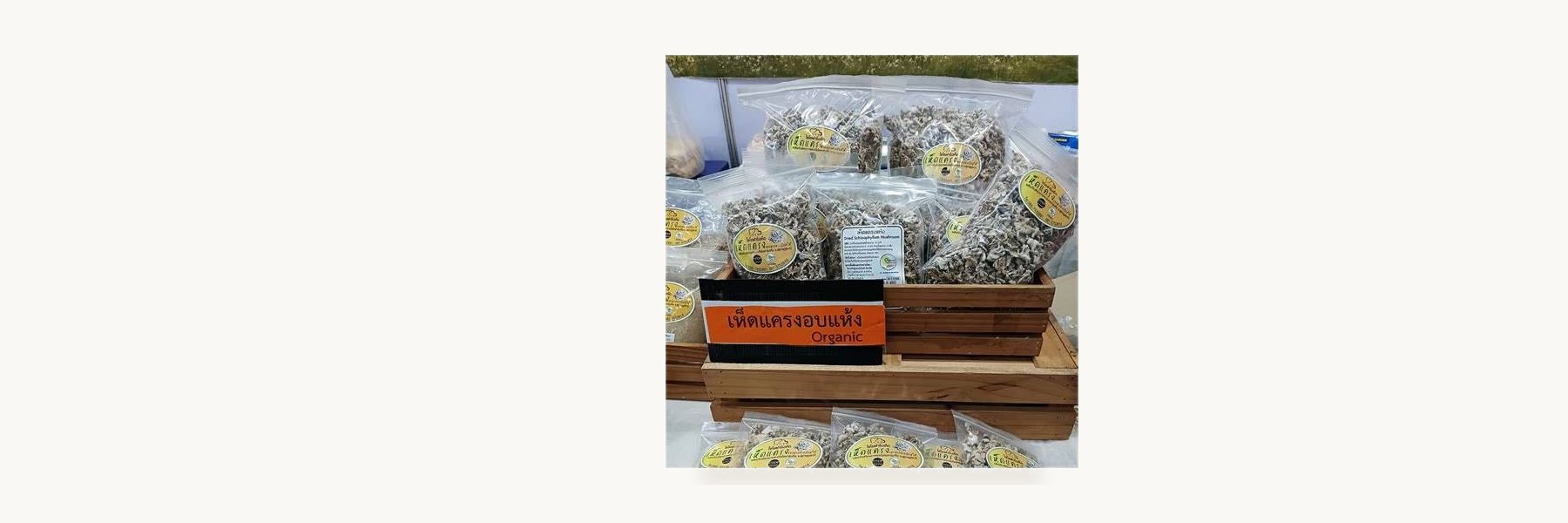 Chaiyo Mushroom Farm Enterprise