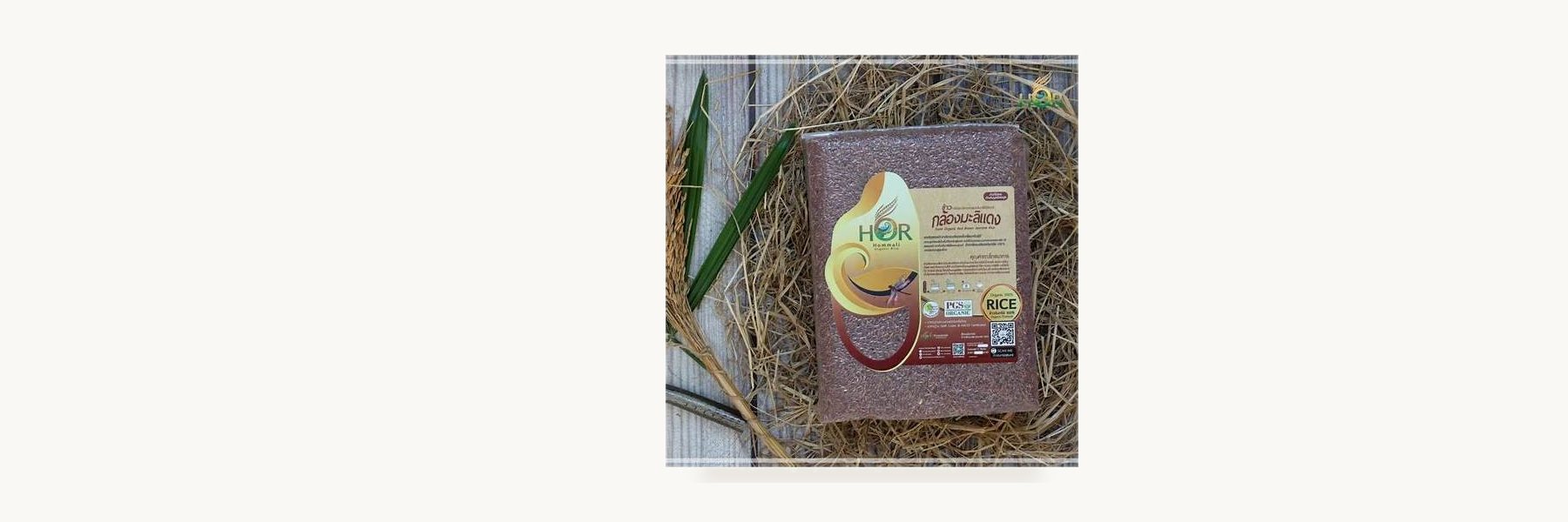 Sae Tom Organic Farm Surin