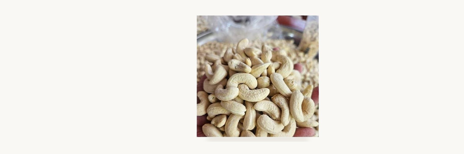 Tha Pla Cashew Growers Enterprise