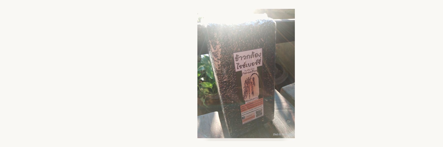 Ban Khok Ngam Organic Farming Enterprise
