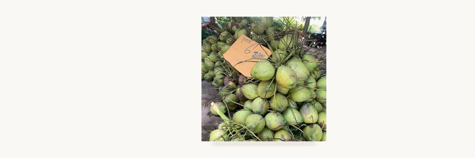 Khun Ratree Aromatic Coconut Farm