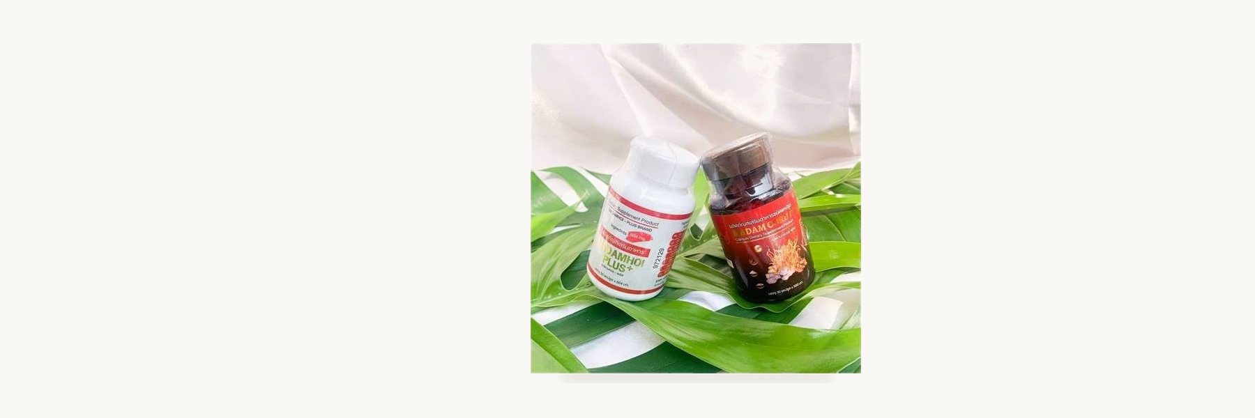 Ban Lum Toei Health Herb Group