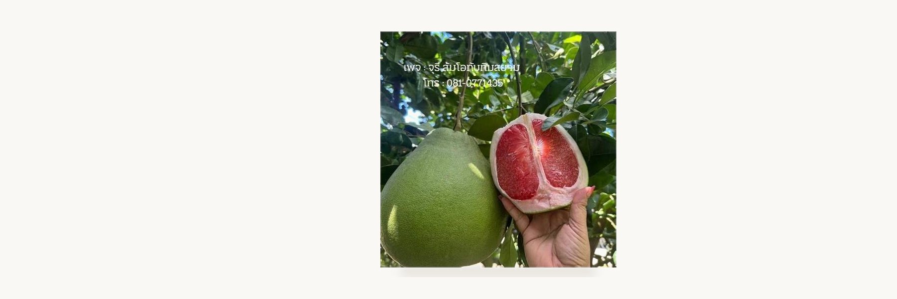 Juree Pomelo