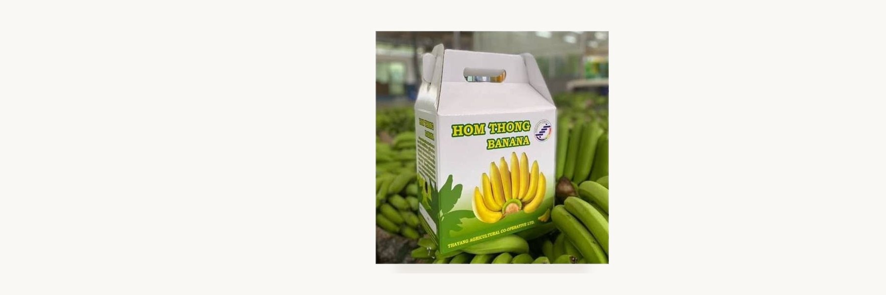 Tha Yang Agricultural Cooperative
