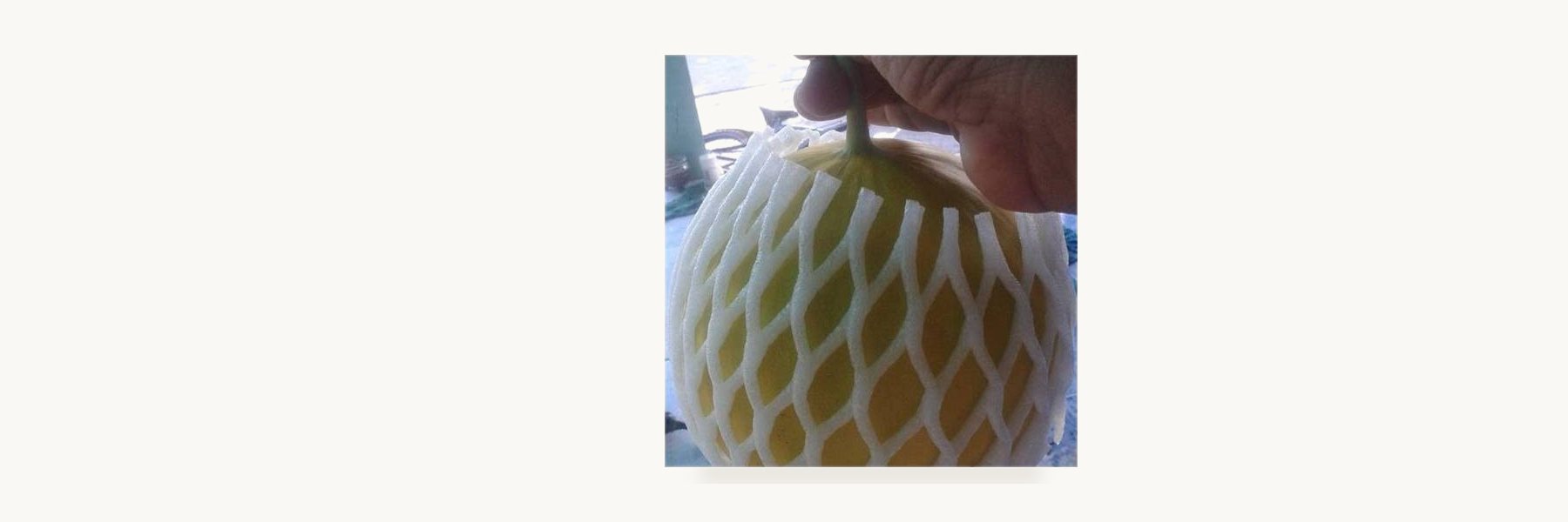 Mu Yai Melon