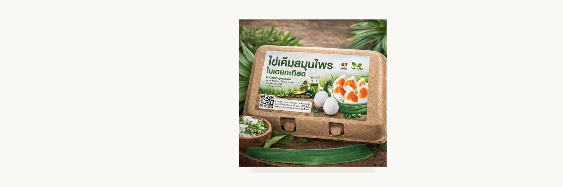 Chaiya Health Volunteers Salted Egg Enterprise
