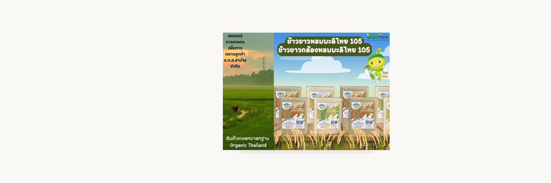 BAAC Customers Marketing Cooperative Roi Et