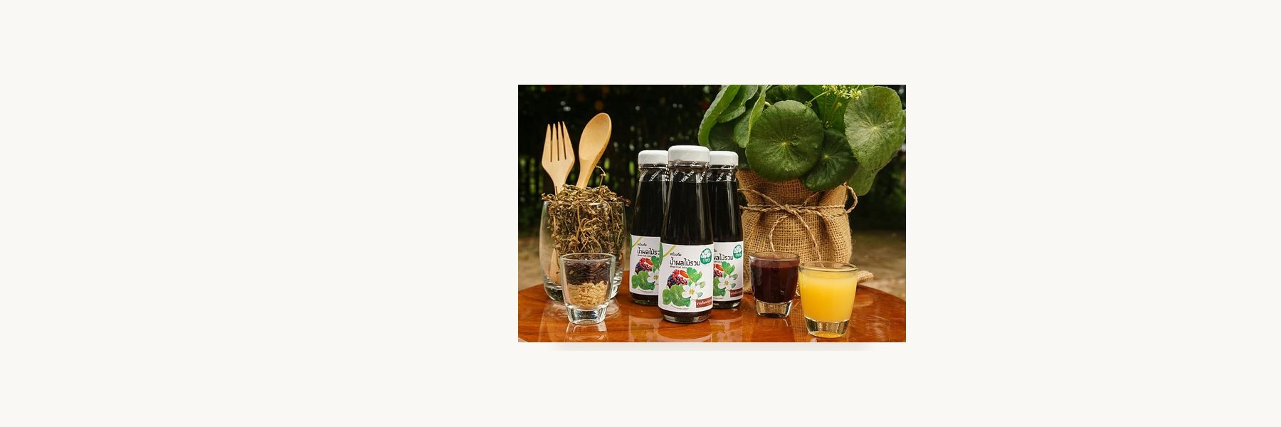 Non Hua Chang Fruit Juice Enterprise