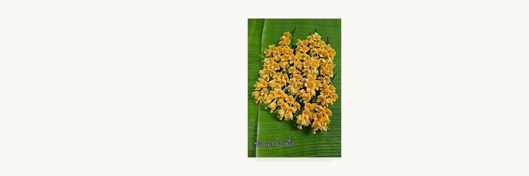 Nong Ruea Clay Flower Group