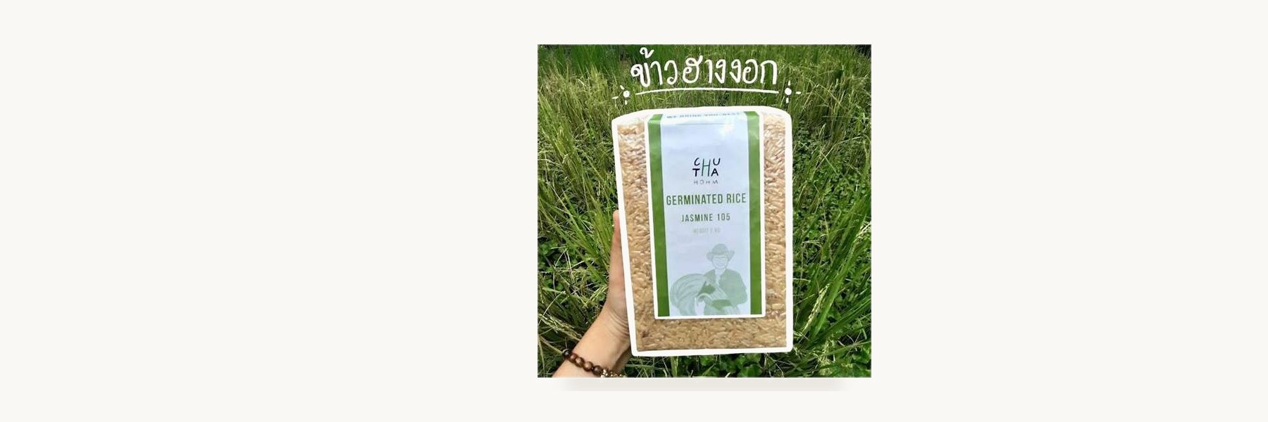 Germinated Hang Rice Group