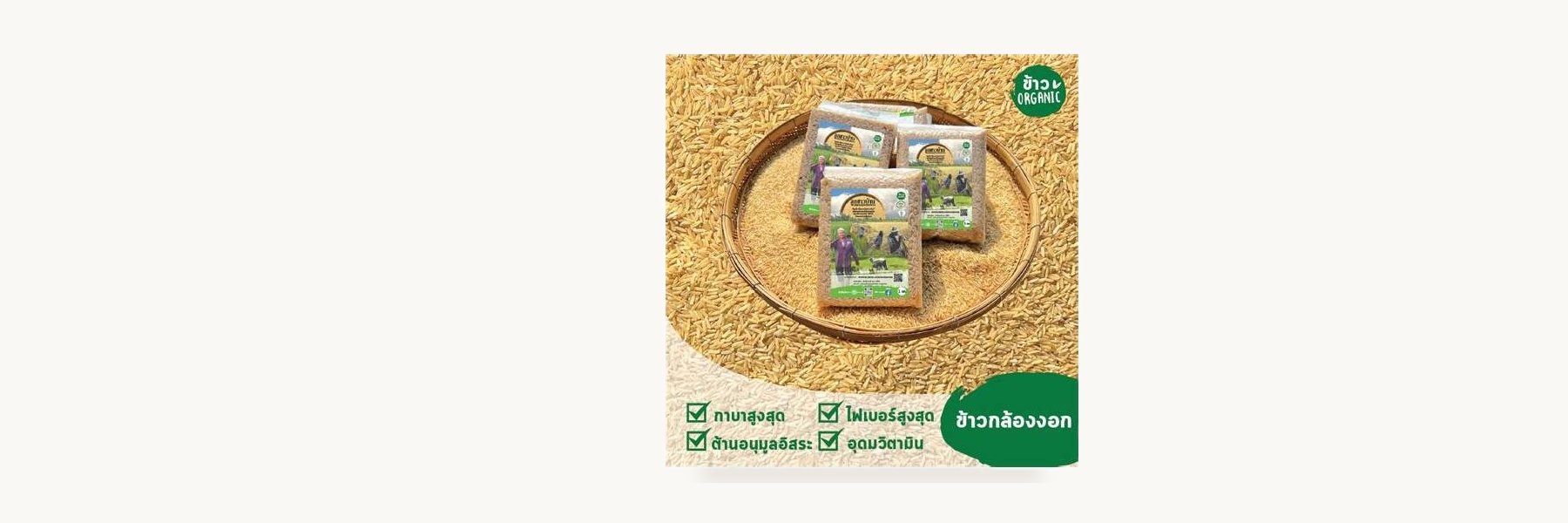 Chaiyaphum Germinated Rice Group
