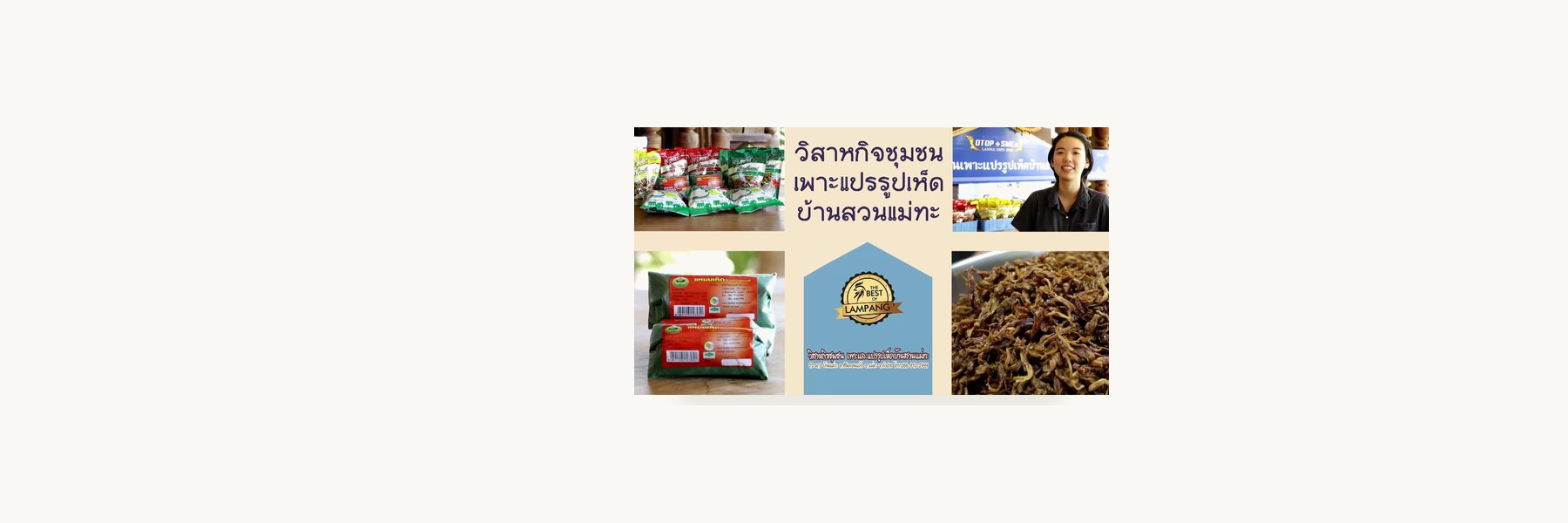 Ban Suan Mae Tha Mushroom Enterprise