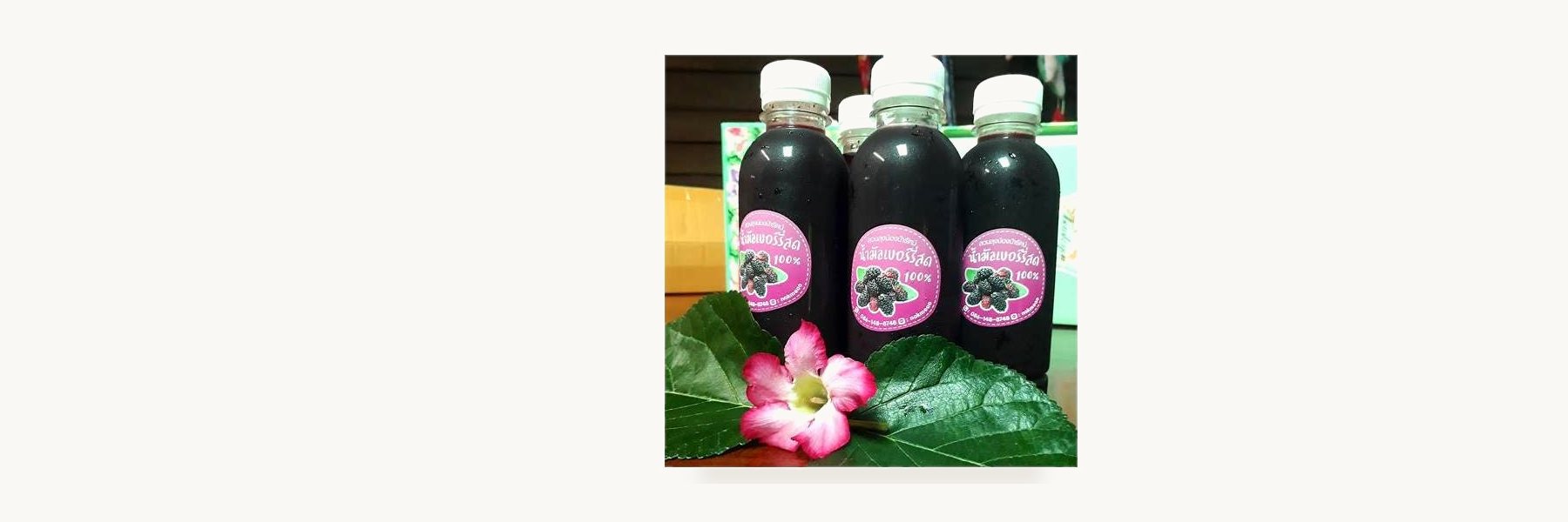 Lop Buri Healthy Fruit Juice Enterprise