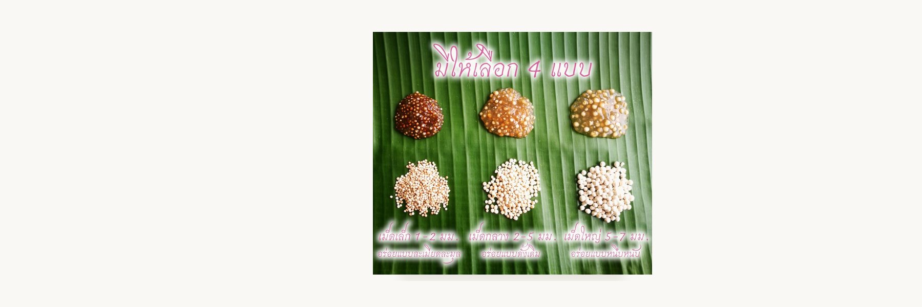Ban Bon Sago Flour Enterprise