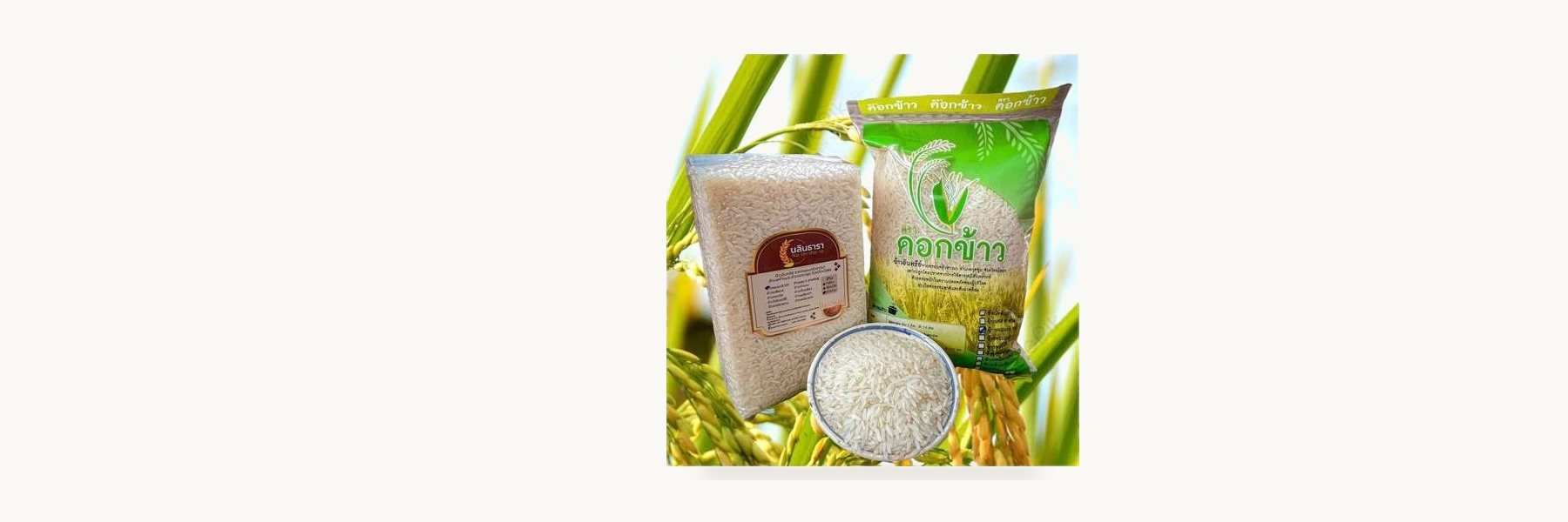 Khanu Woralaksaburi PGS Organic Enterprise