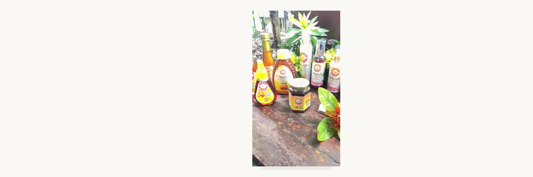 Thung Song Natural Thai Bee Enterprise