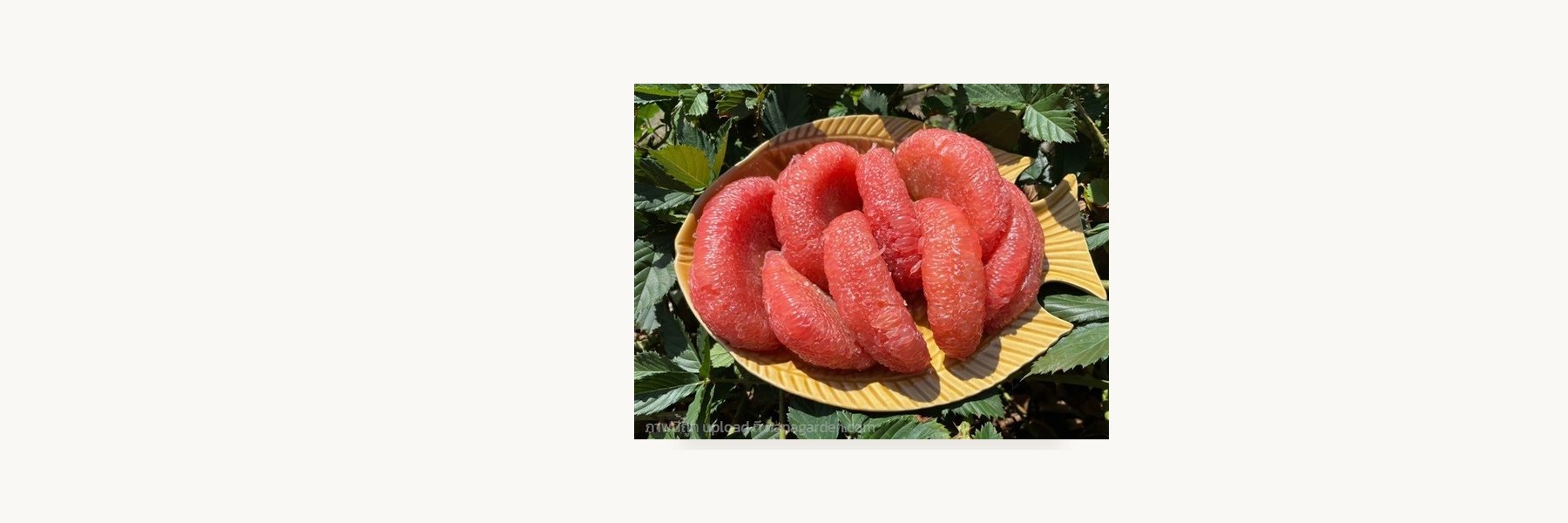 Suan Mae Thao Pomelo