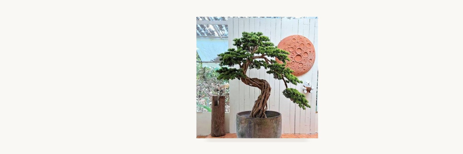 Pathum Thani Artificial Bonsai Group