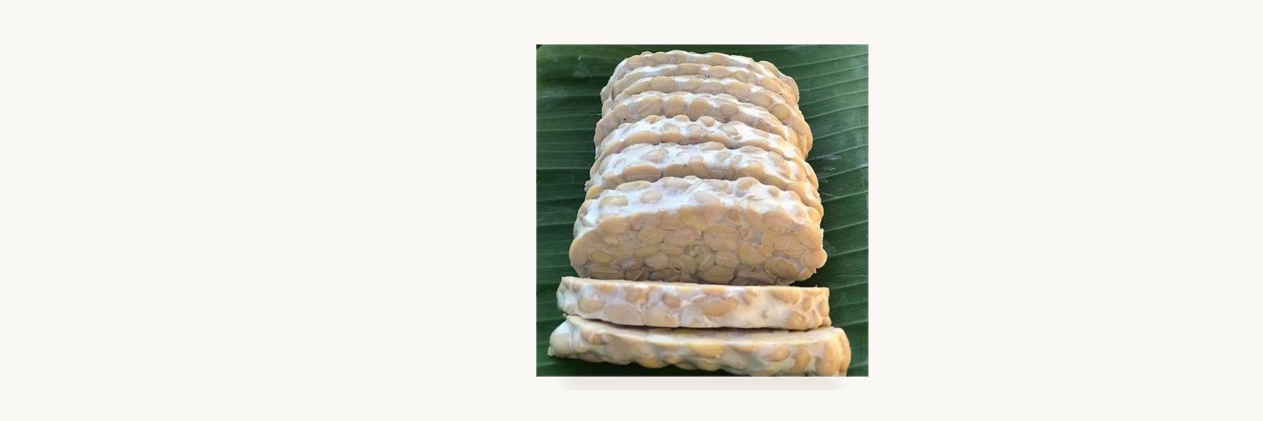 Pattani Tempeh Group