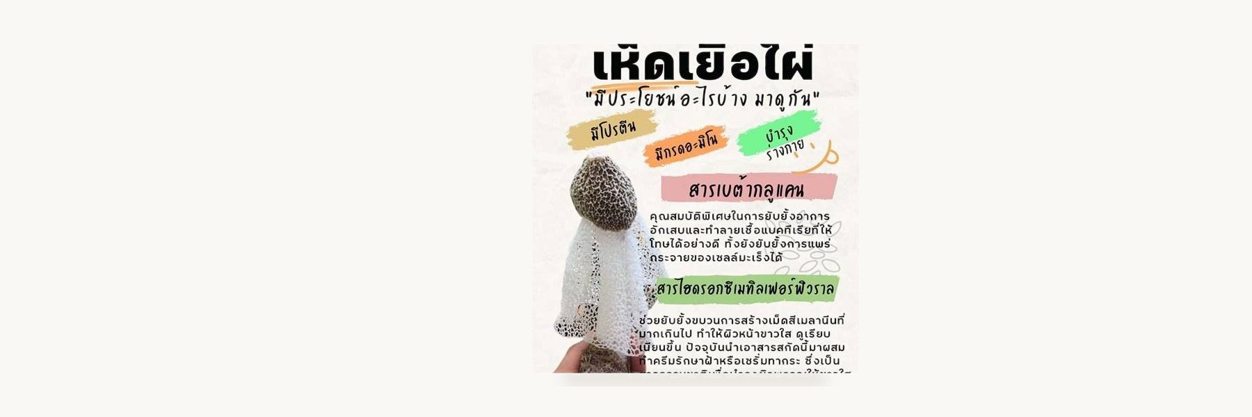 Ban Nong Sala Agriculture Enterprise