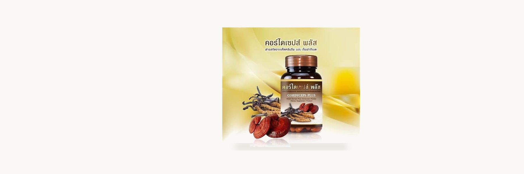 Thai Cordyceps