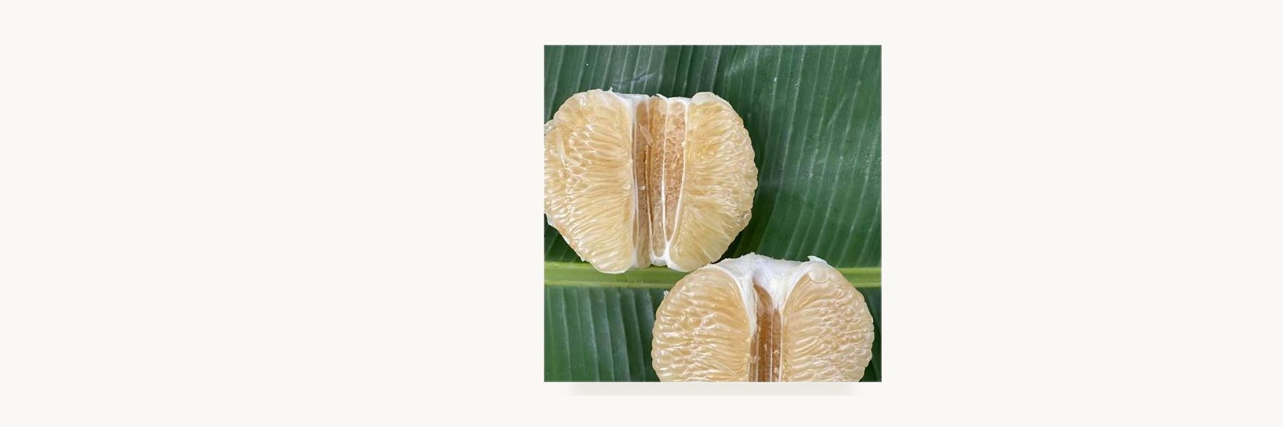 Bang Khonthi Pomelo Orchard