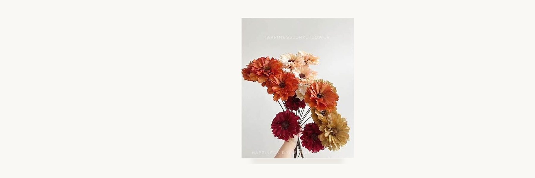 Kanchanaburi Natural Dried Flowers