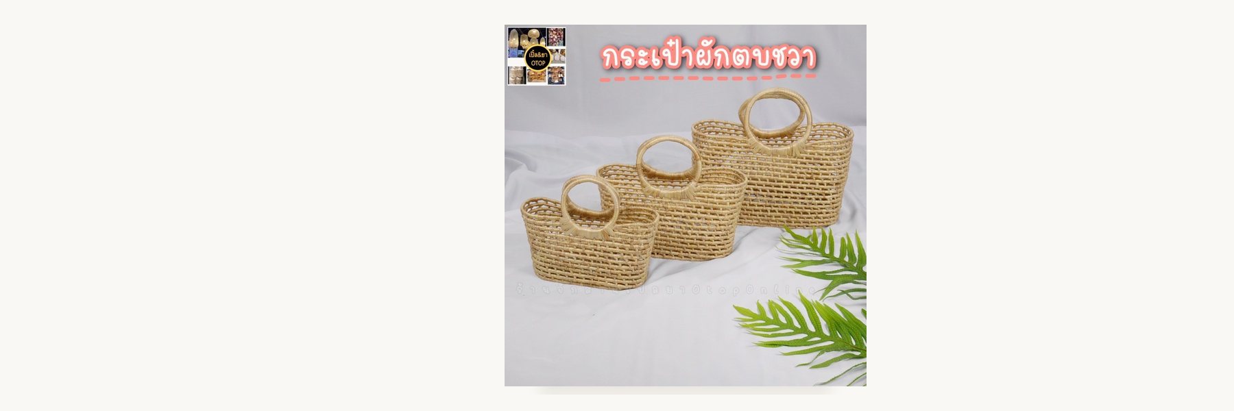 Ban Bang Ta Phaen Water Hyacinth Group