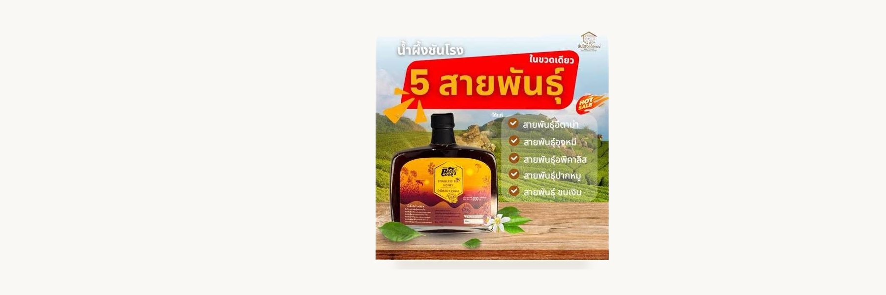 Ban Phrai Wan Stingless Bee Group